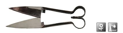 cisaille � buis 300mm - 