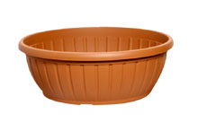 Coupe plastique - Coste Terracotta, 20cm� 8.1cm H 